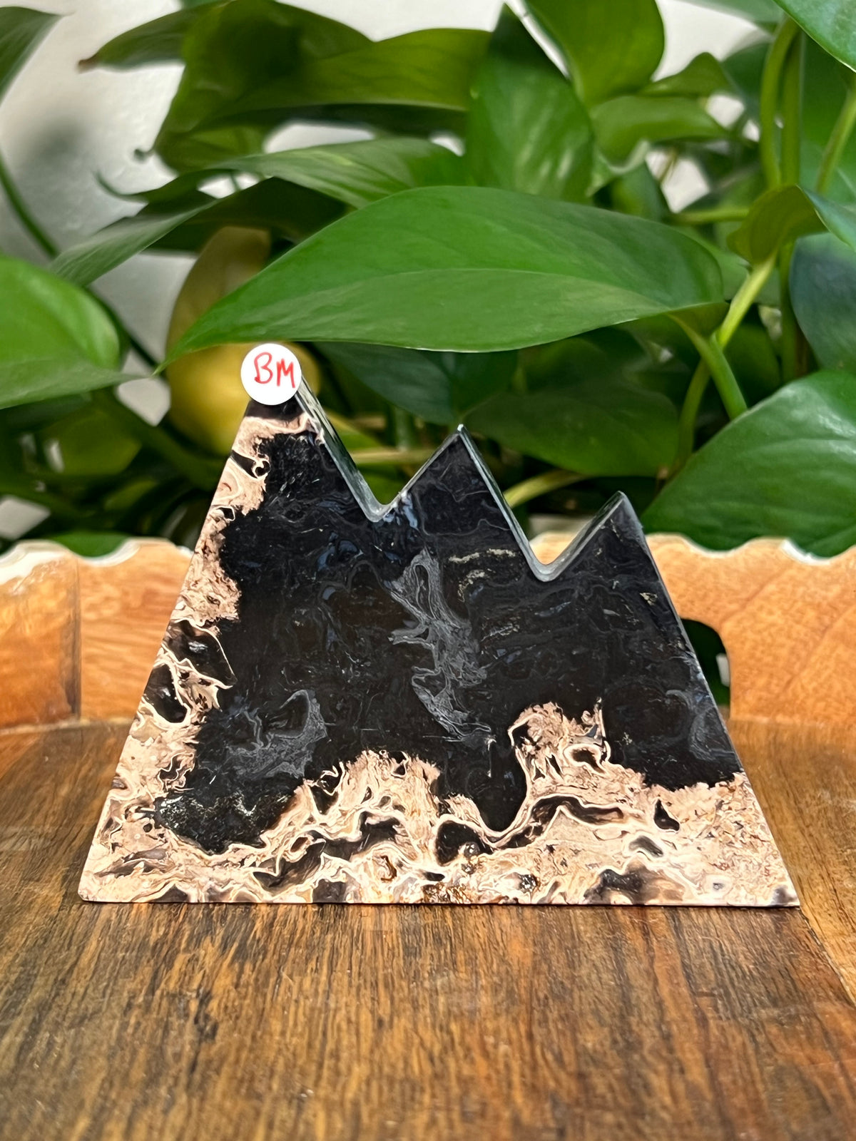 Palm Root Mountains