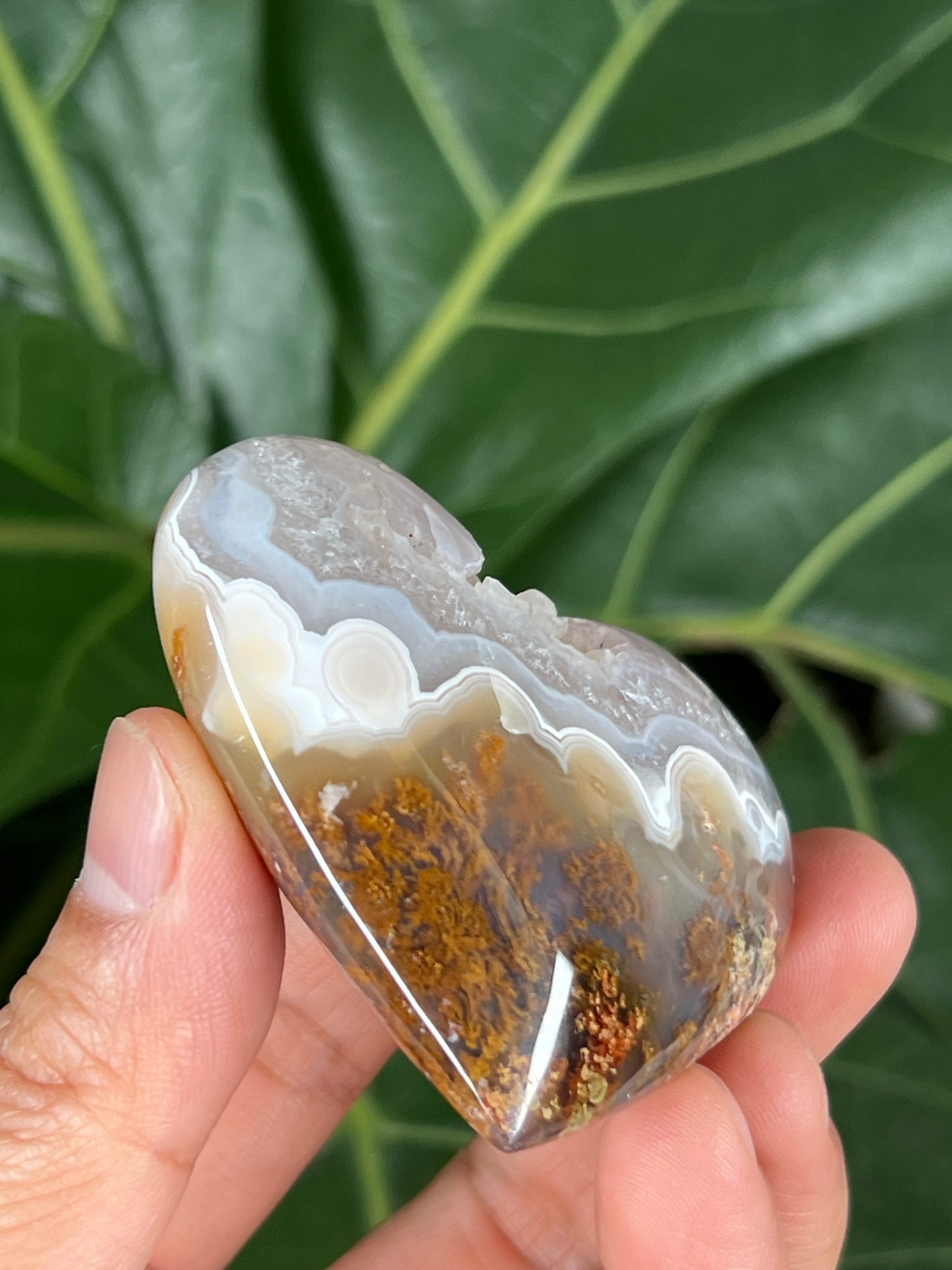 Scenic Moss Agate Heart