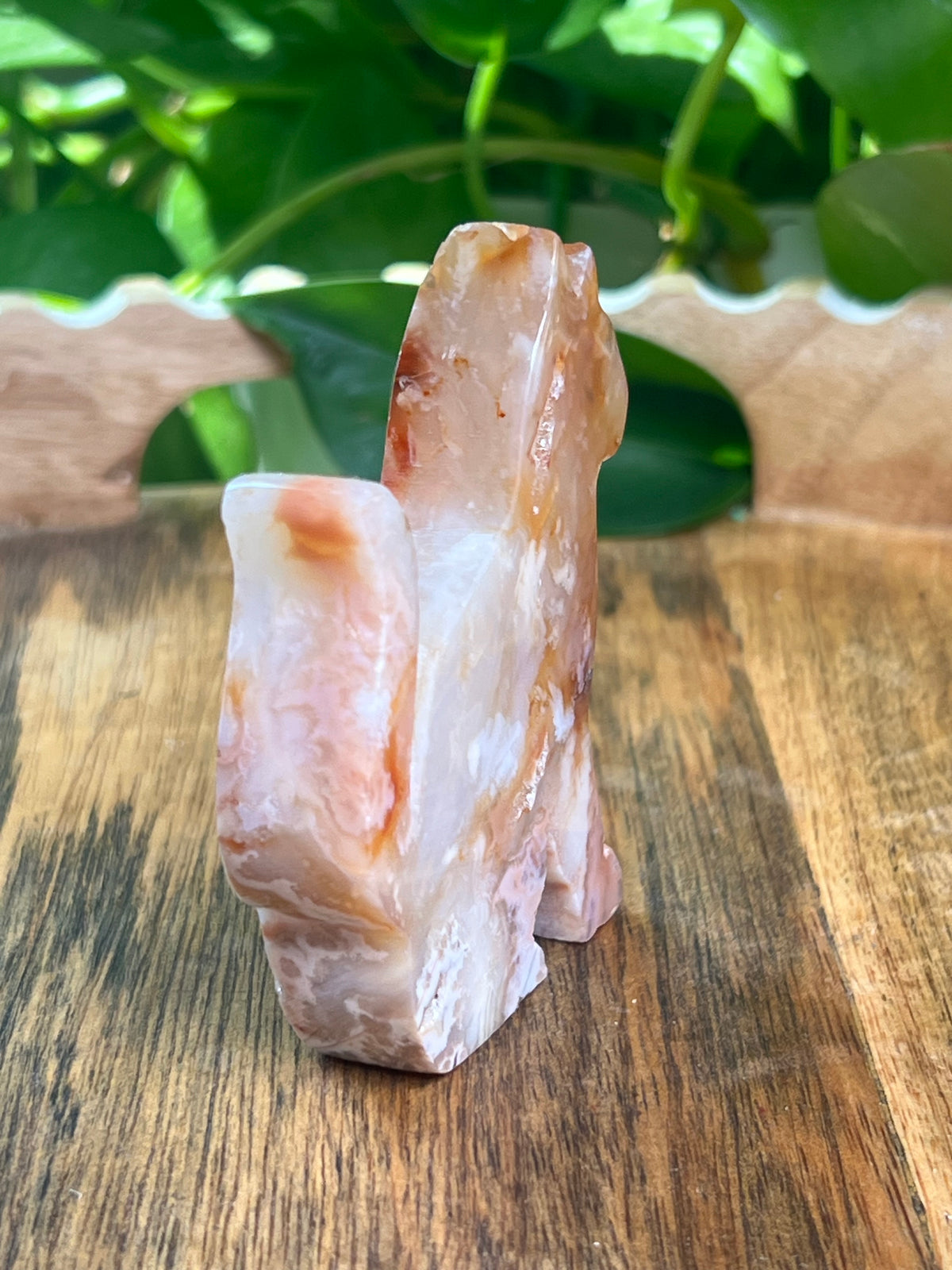 Carnelian Cat: PA