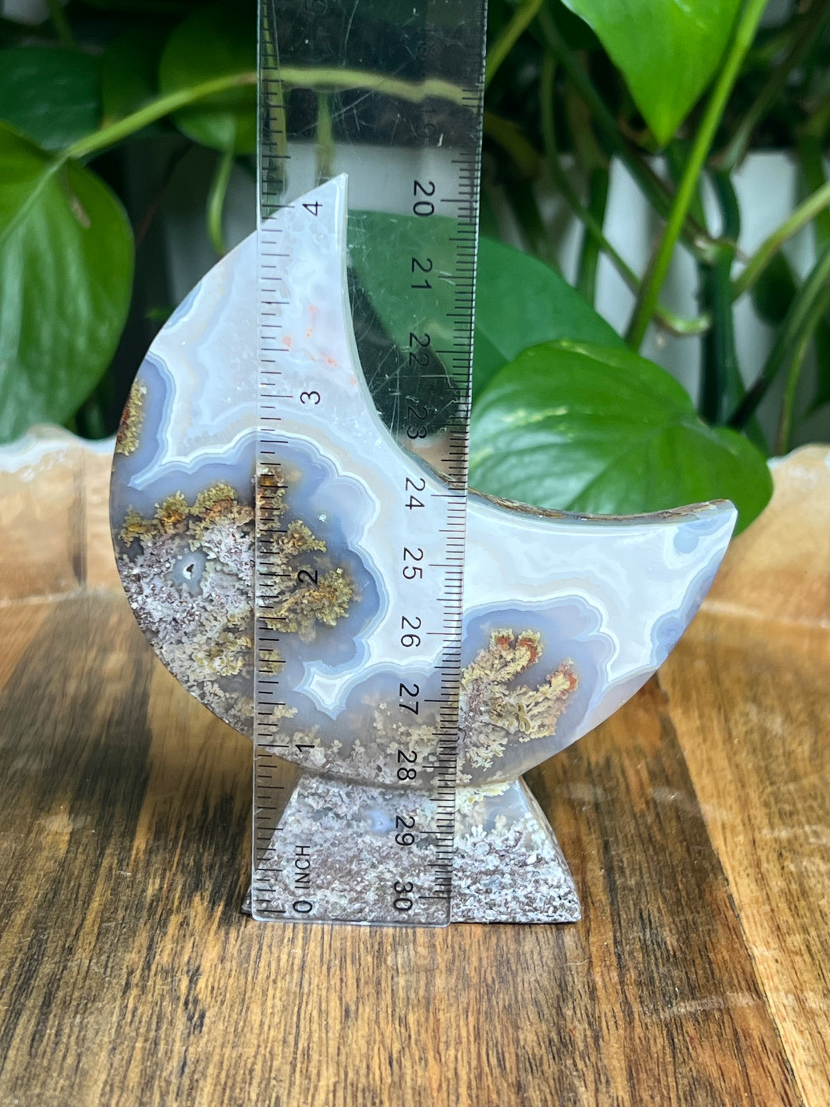 Scenic Moss Agate Self-Standing Moon: LF