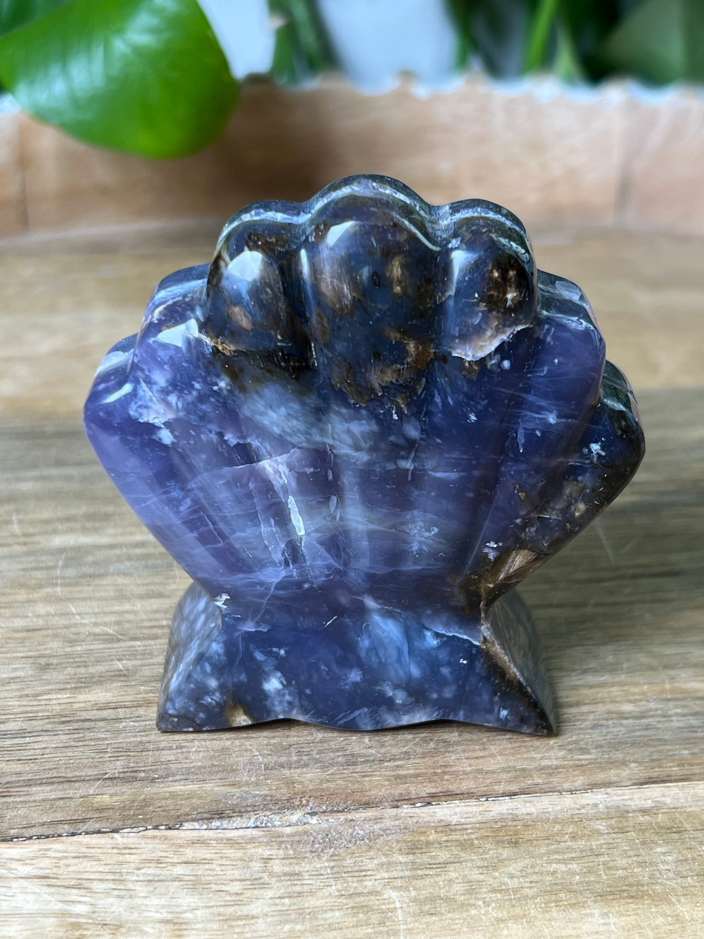 Purple Chalcedony Shell