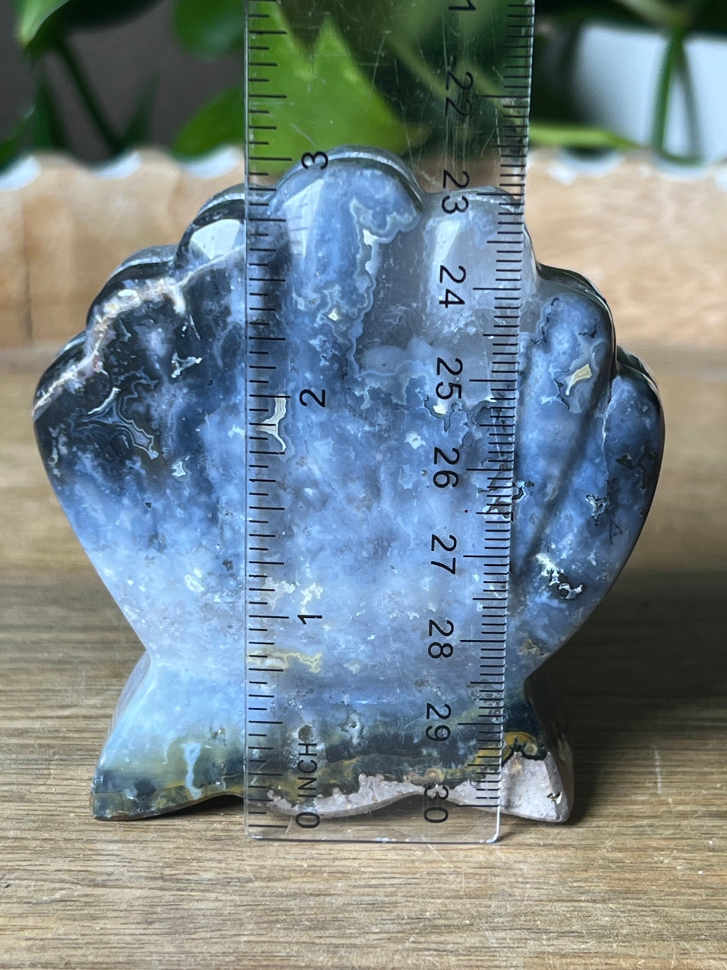 Blue Plume Agate Shell