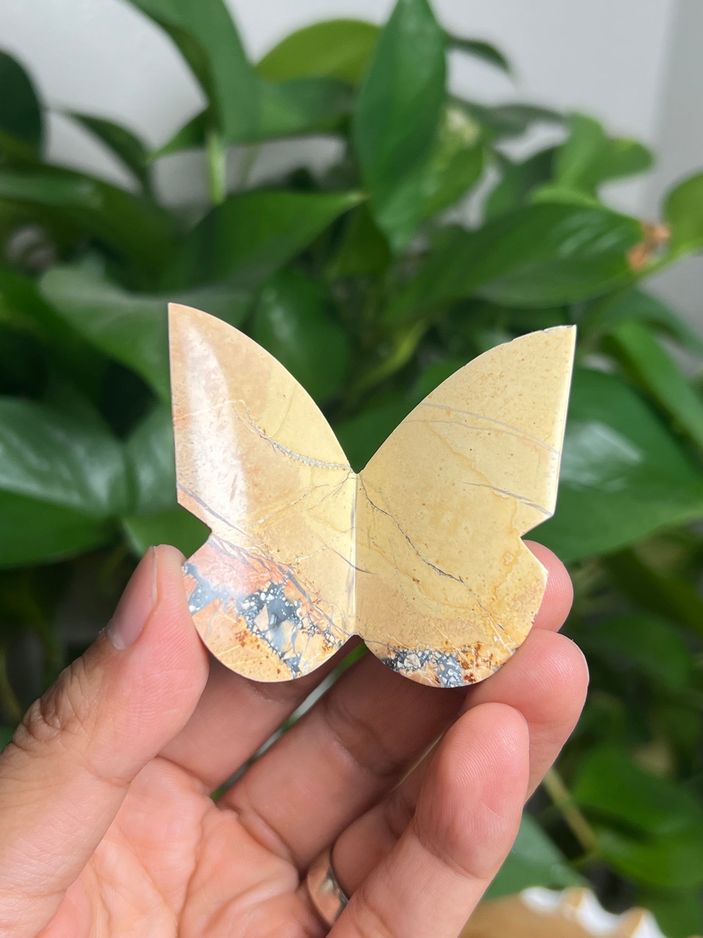 Maligano 3D Butterfly: AB