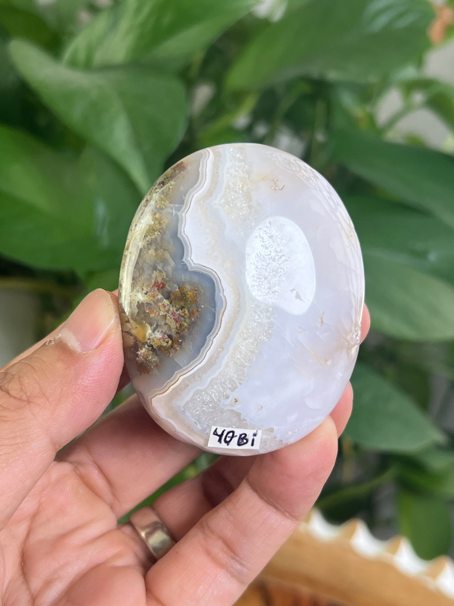 Scenic Moss Agate Palmstone: Bi