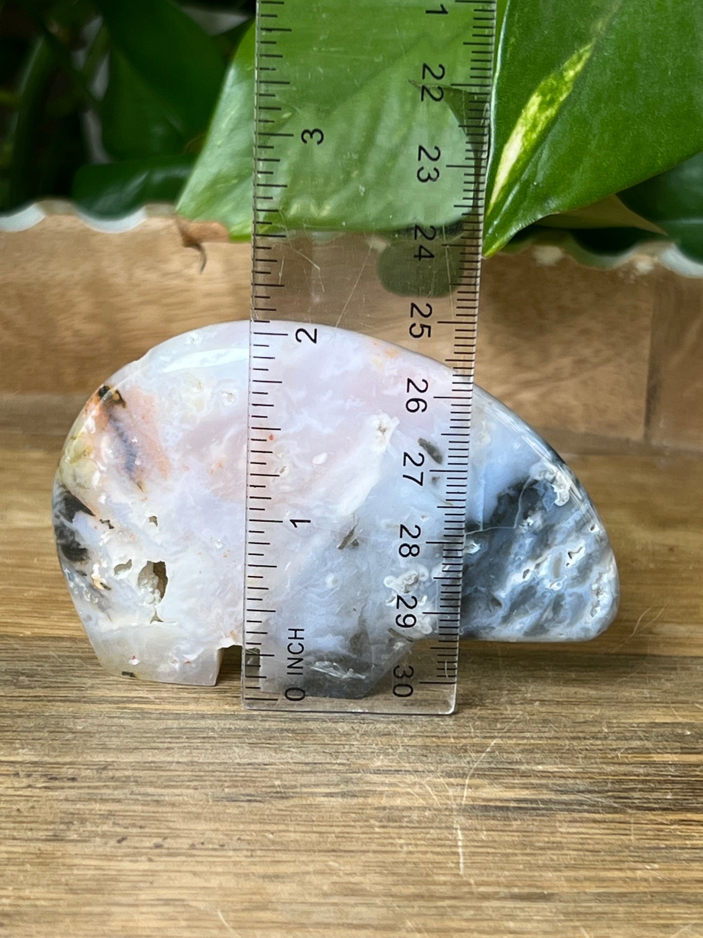 Rainbow Plume Agate Bear