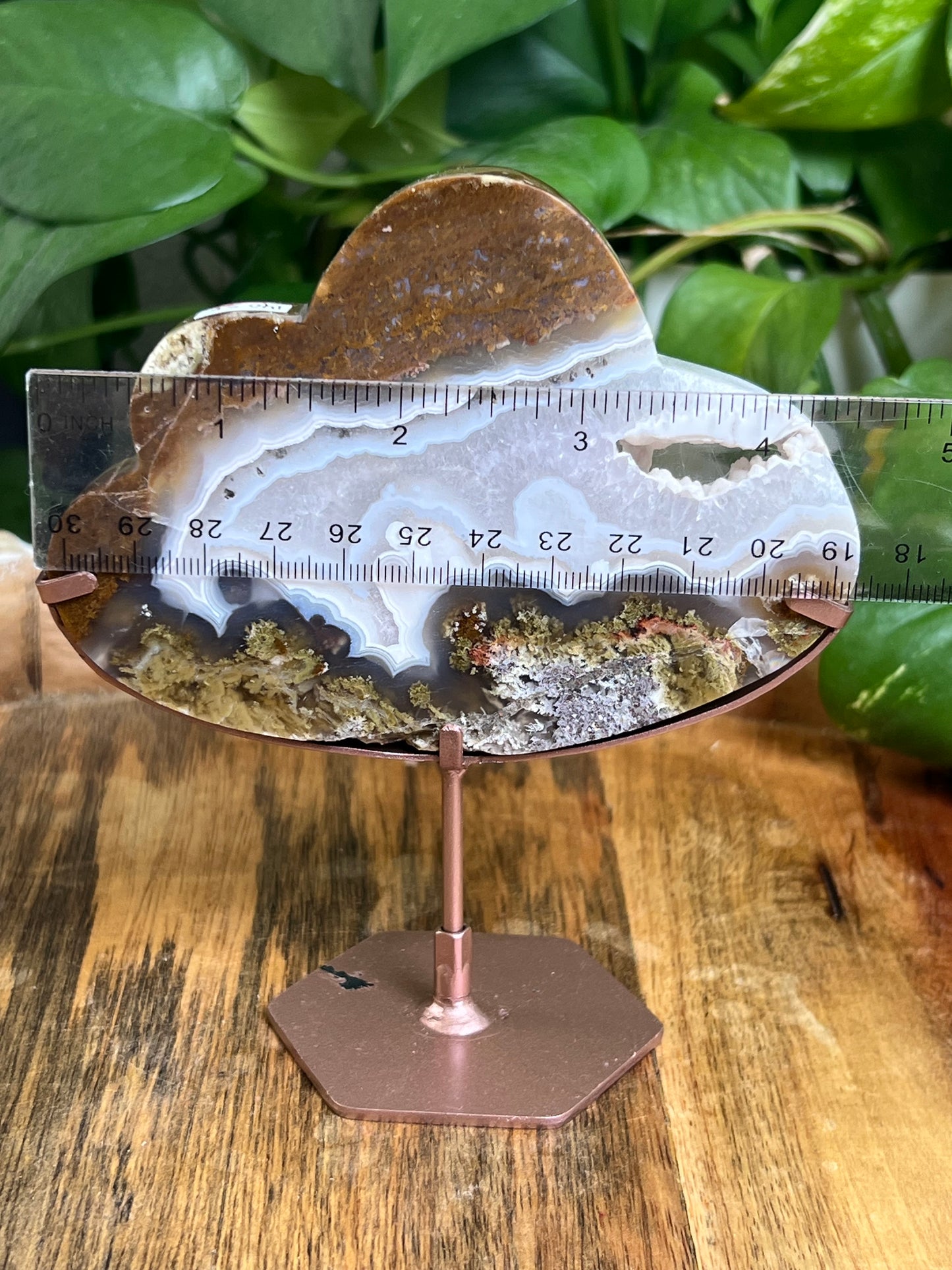 Scenic Moss Agate Cloud