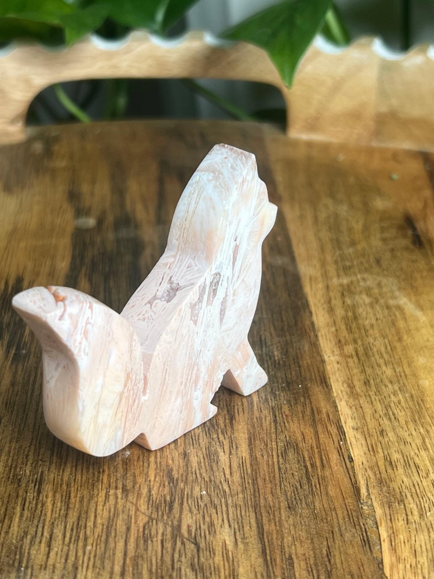 Tube Agate Fox BF
