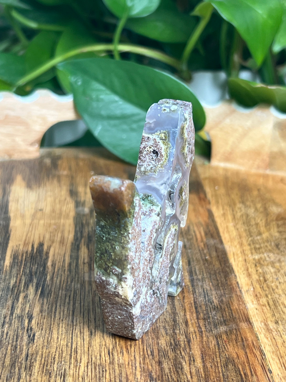 Scenic Moss Agate Cat: RH