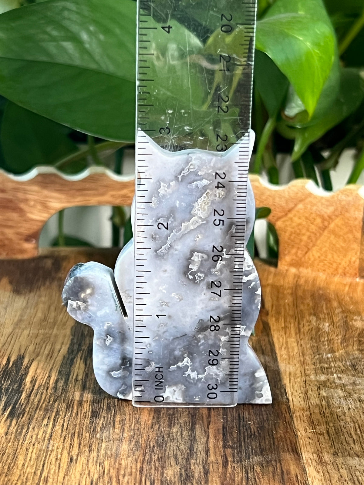 Blue Plume Agate Cats