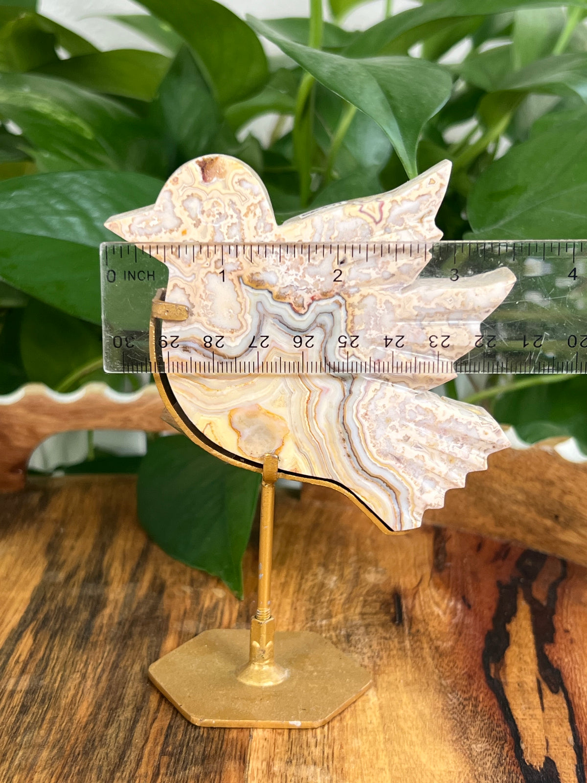 Crazy Lace Agate Birds