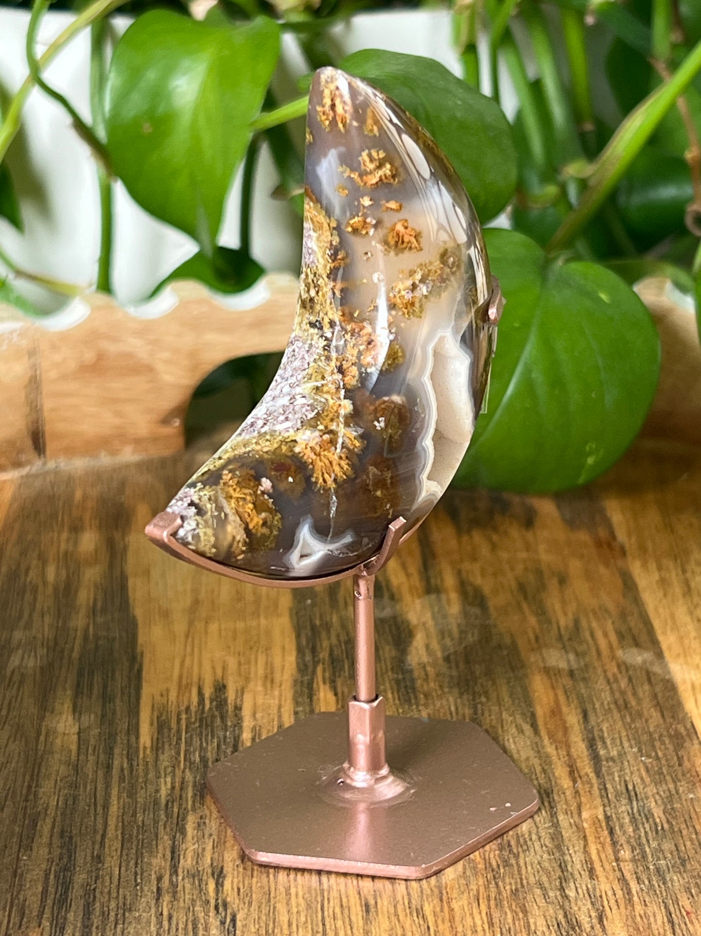 Scenic Moss Agate Moon