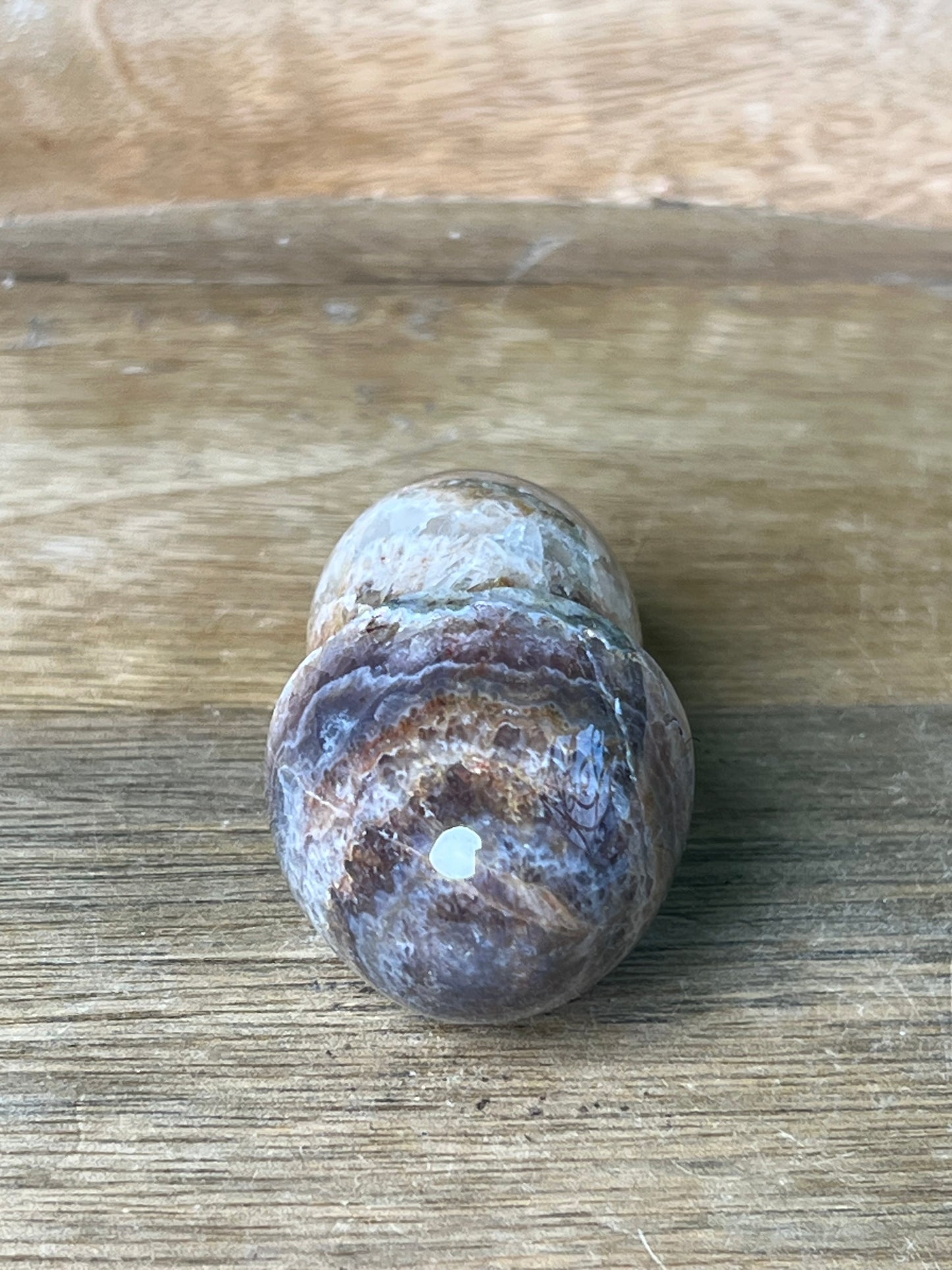 Indonesian Amethyst Mushroom: MB