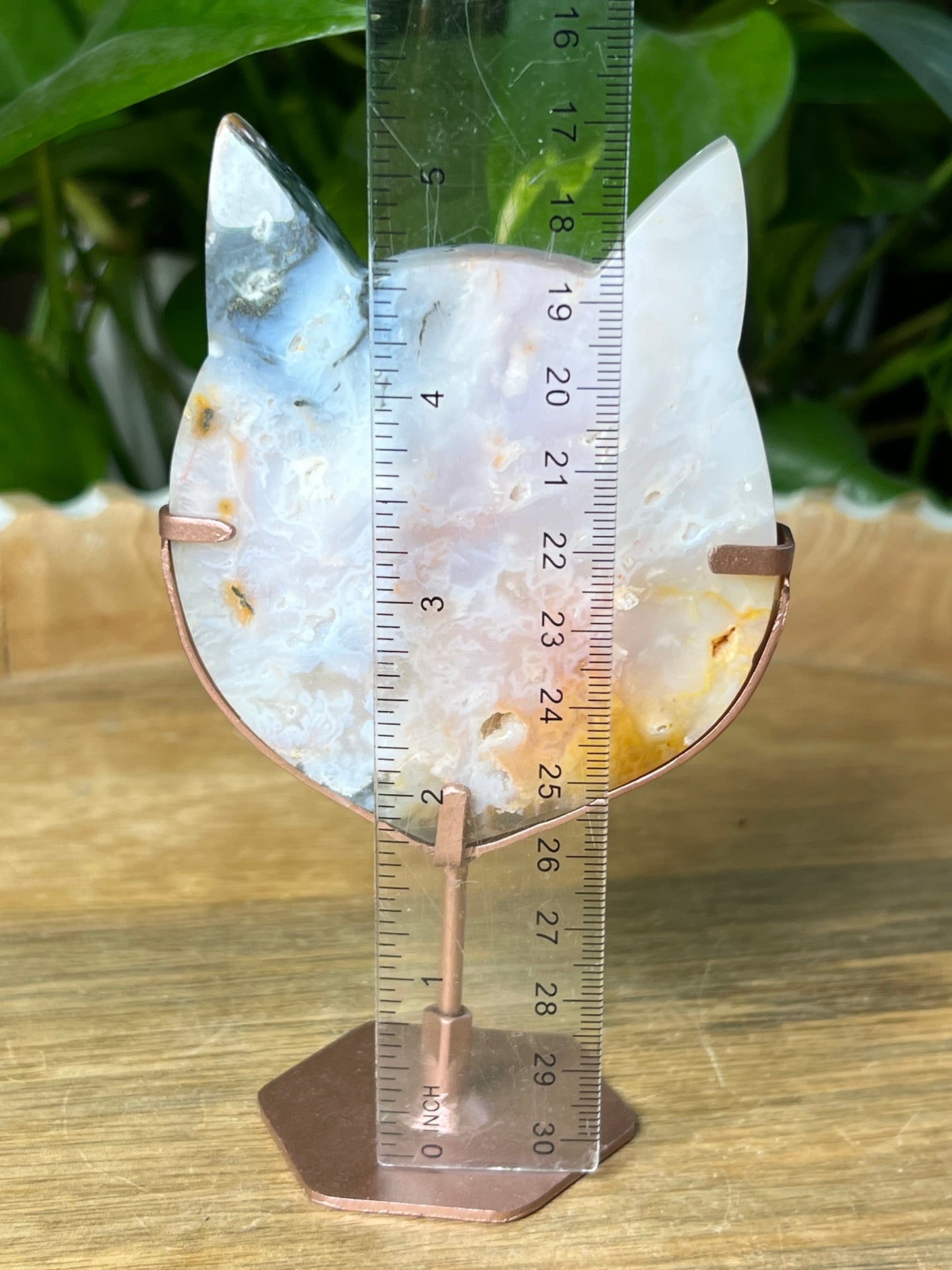 Rainbow Plume Agate Cat Head