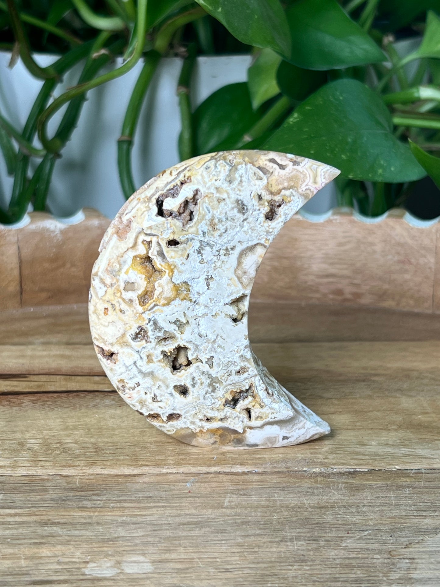 Crazy Lace Agate Moon