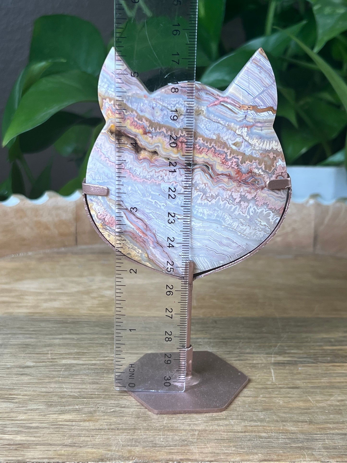 Crazy Lace Agate Cat