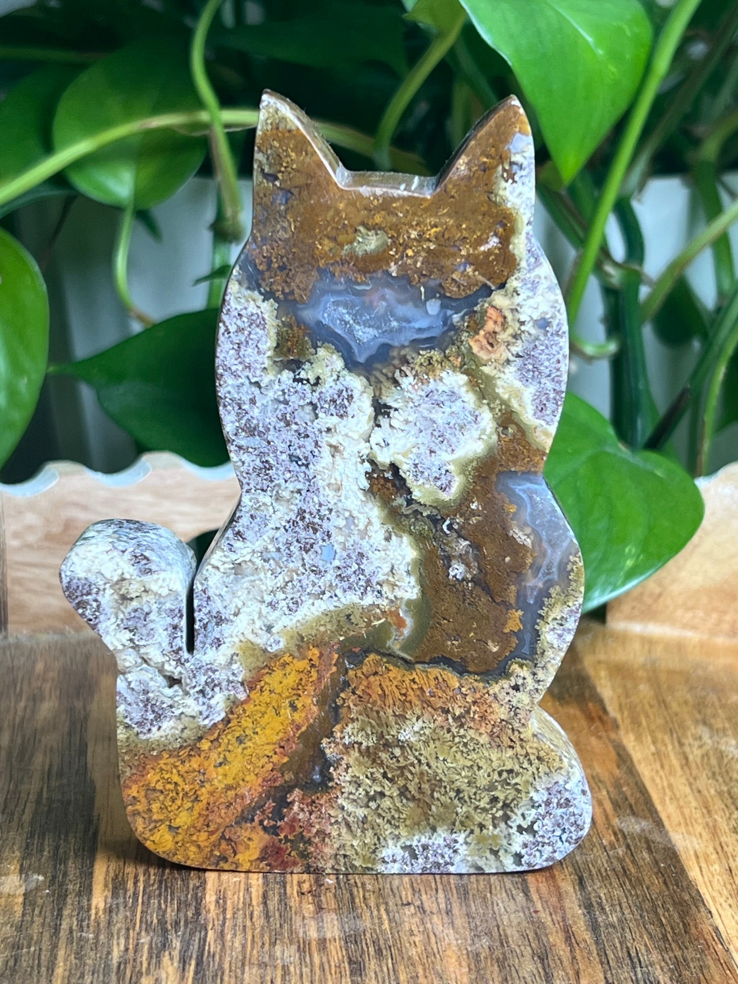 Scenic Moss Agate Cat: AC