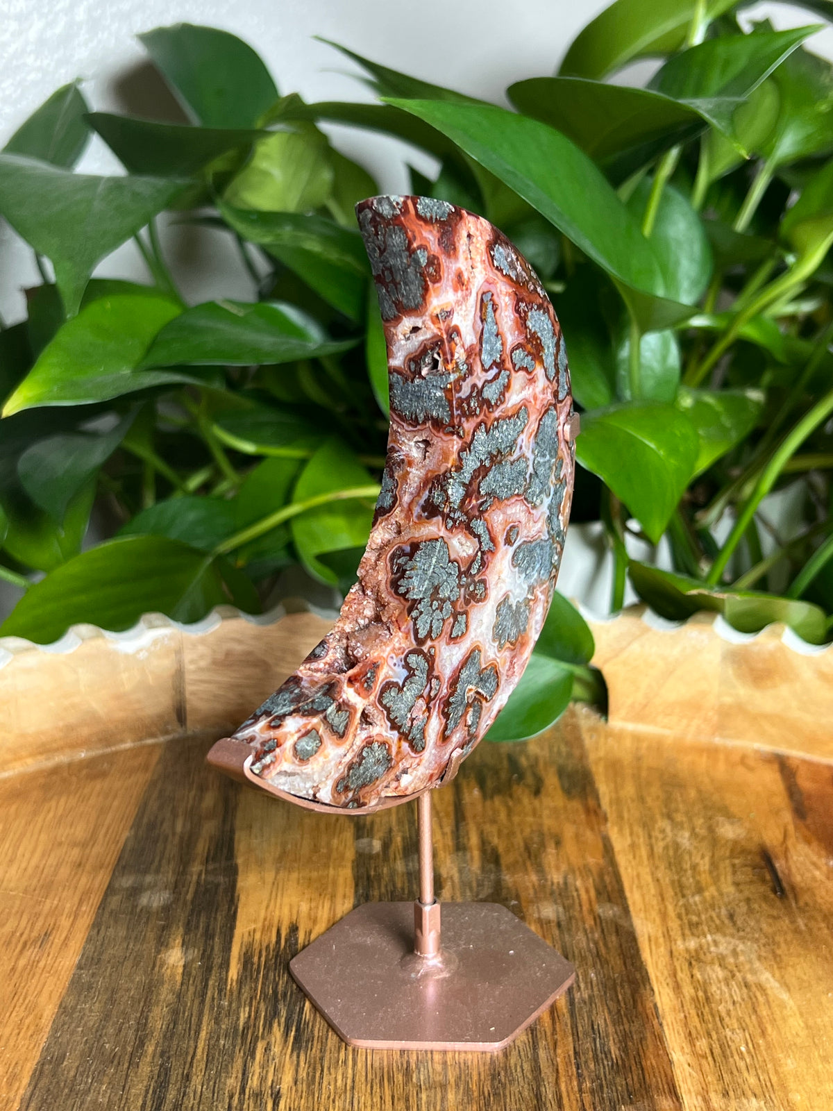 Marcasite Moon: VD