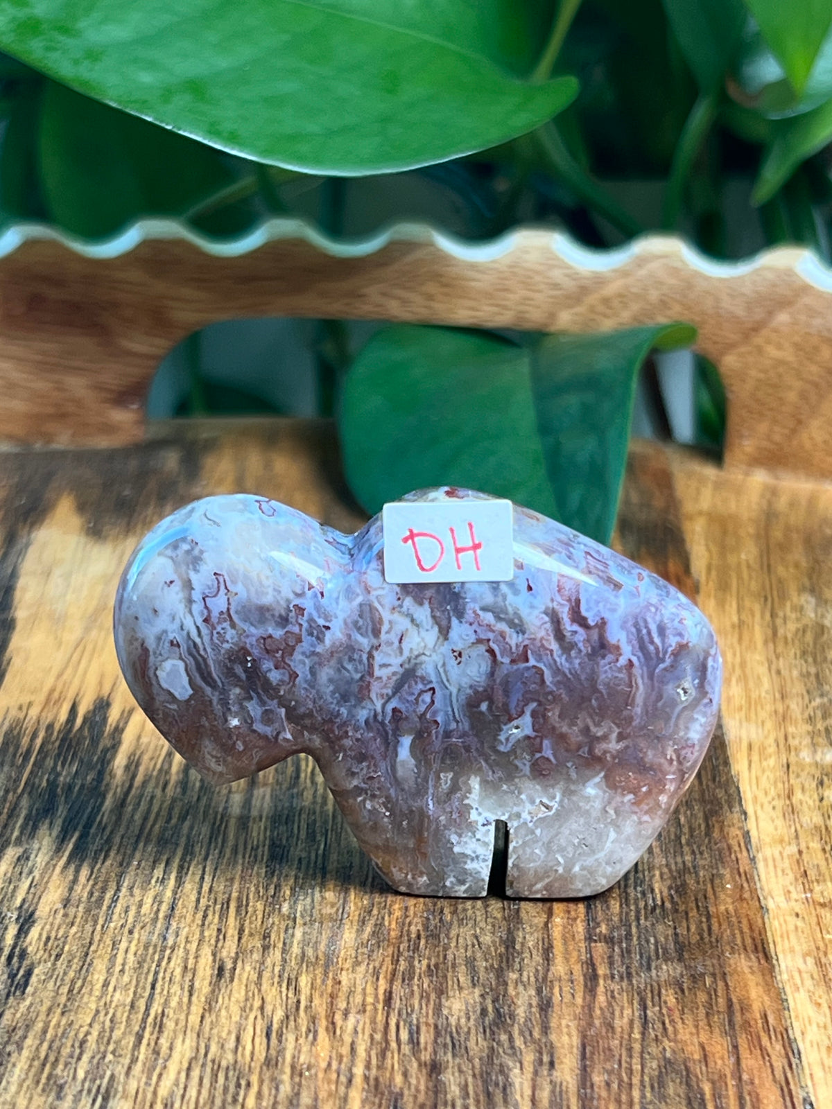 Sumatra Plume Agate Mini Buffalos