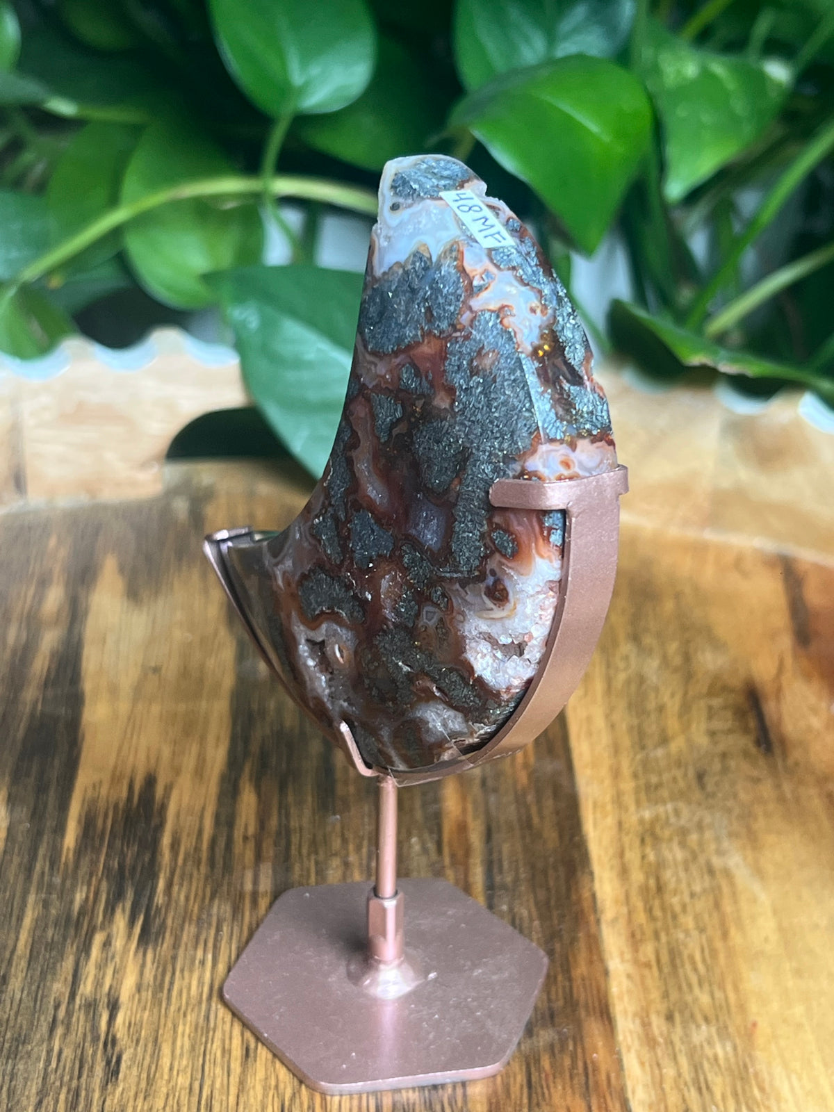 Marcasite Moon: MF