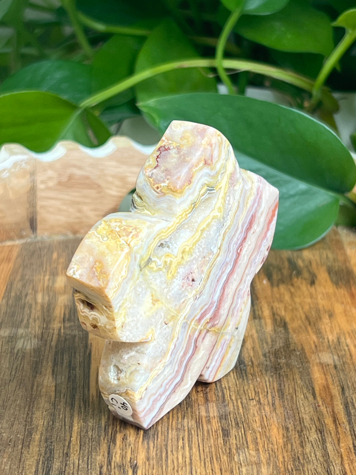Crazy Lace Agate Flower: Ci
