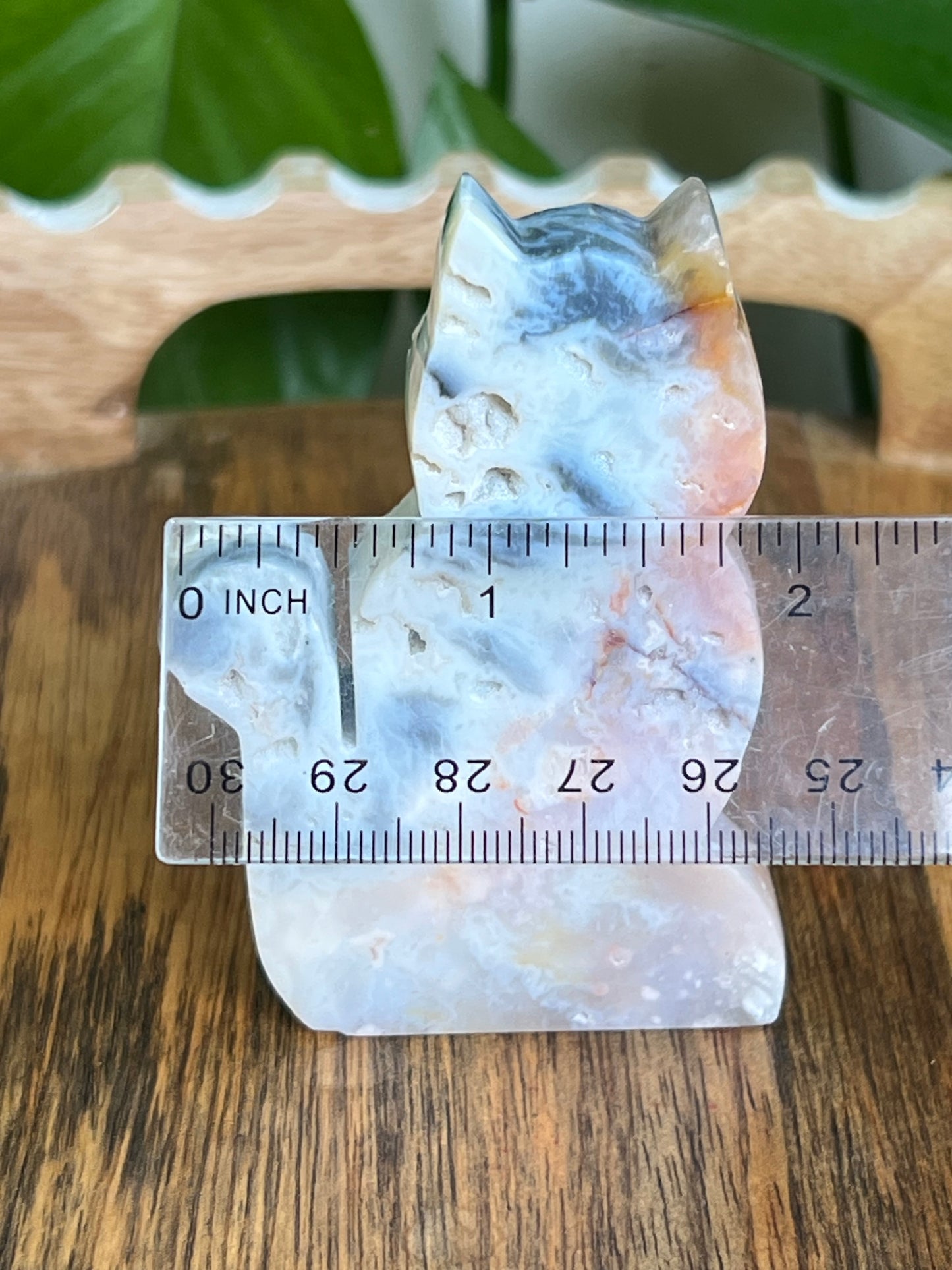 Rainbow Plume Agate Cat NC