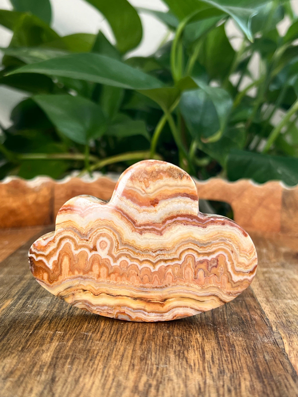 Crazy Lace Agate Self Standing Clouds