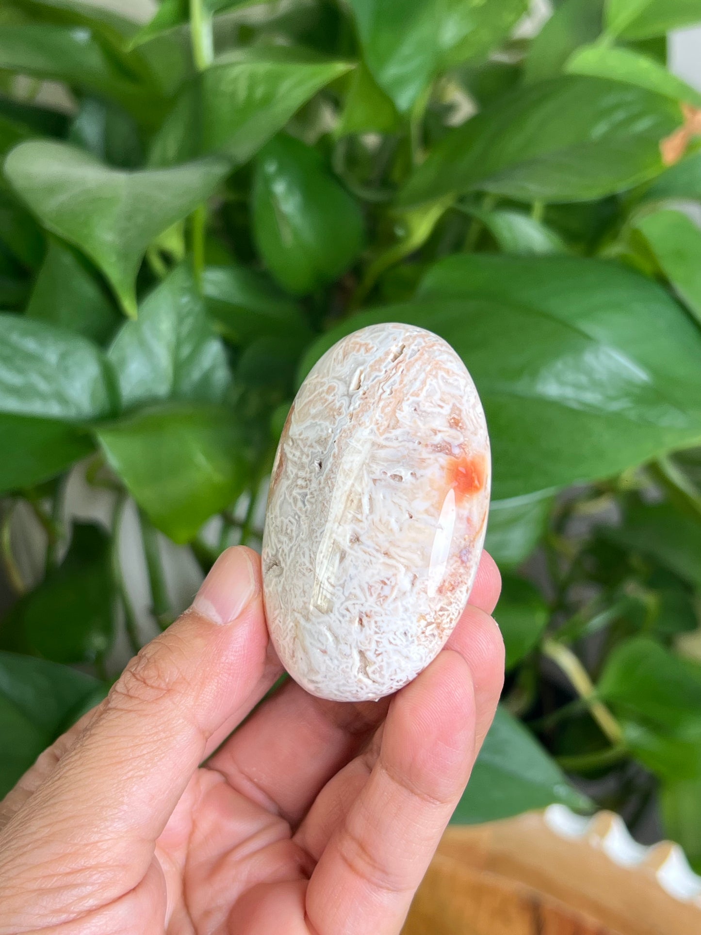 Tube Agate Palmstone: NA