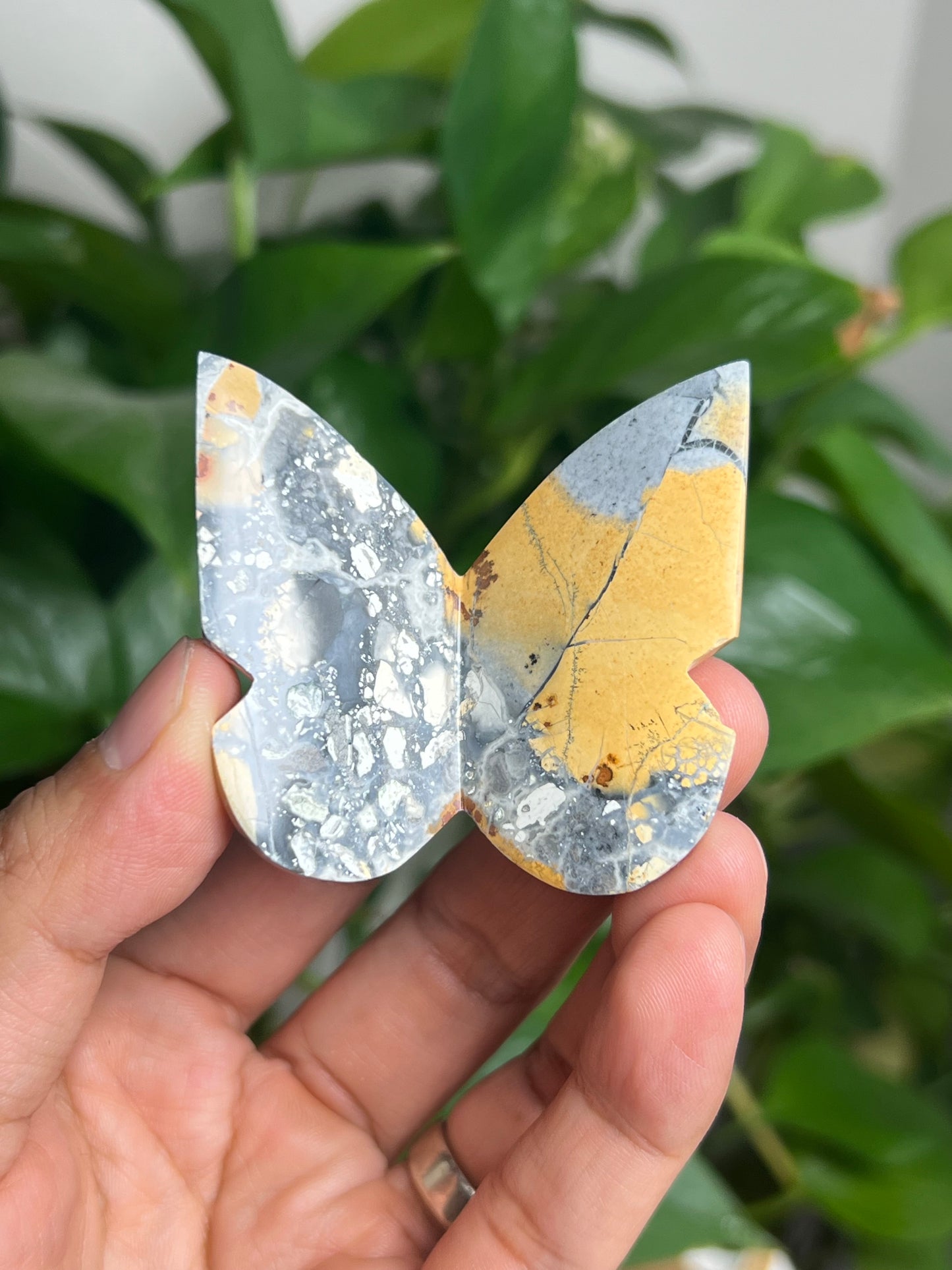 Maligano 3D Butterfly: AS