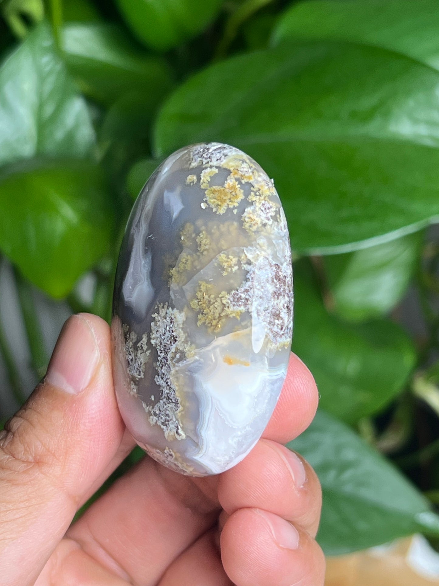 Scenic Moss Agate Palmstone: BQ