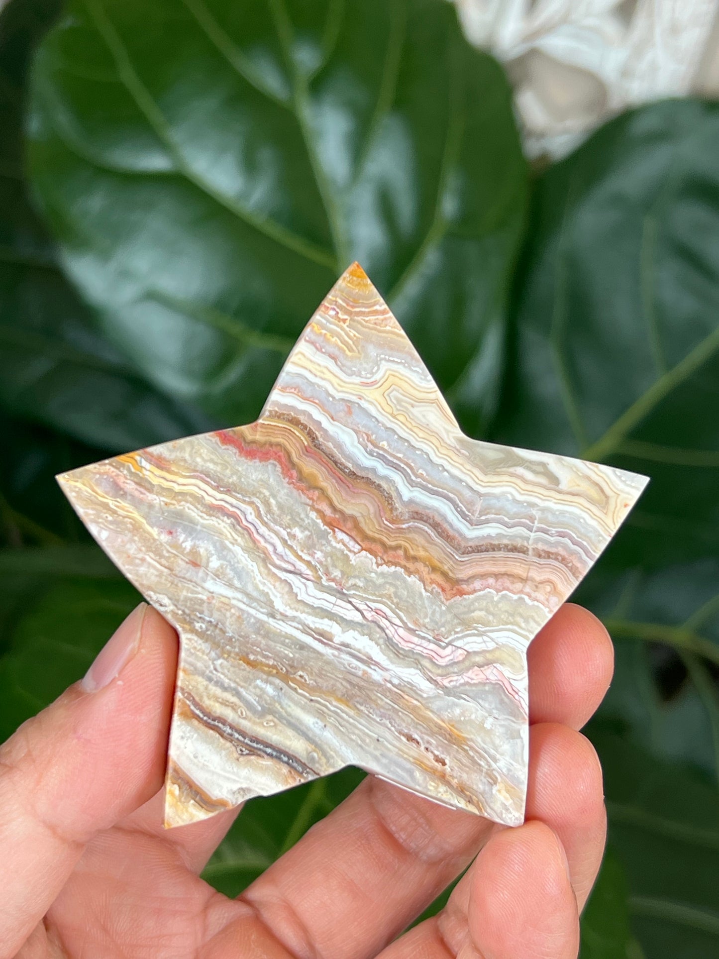 Crazy Lace Agate Star