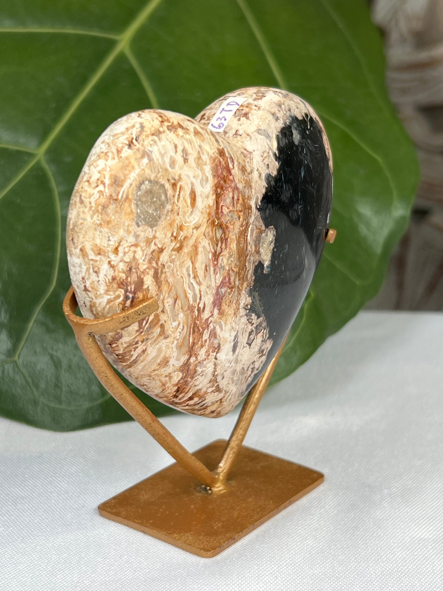 Palm Root Heart