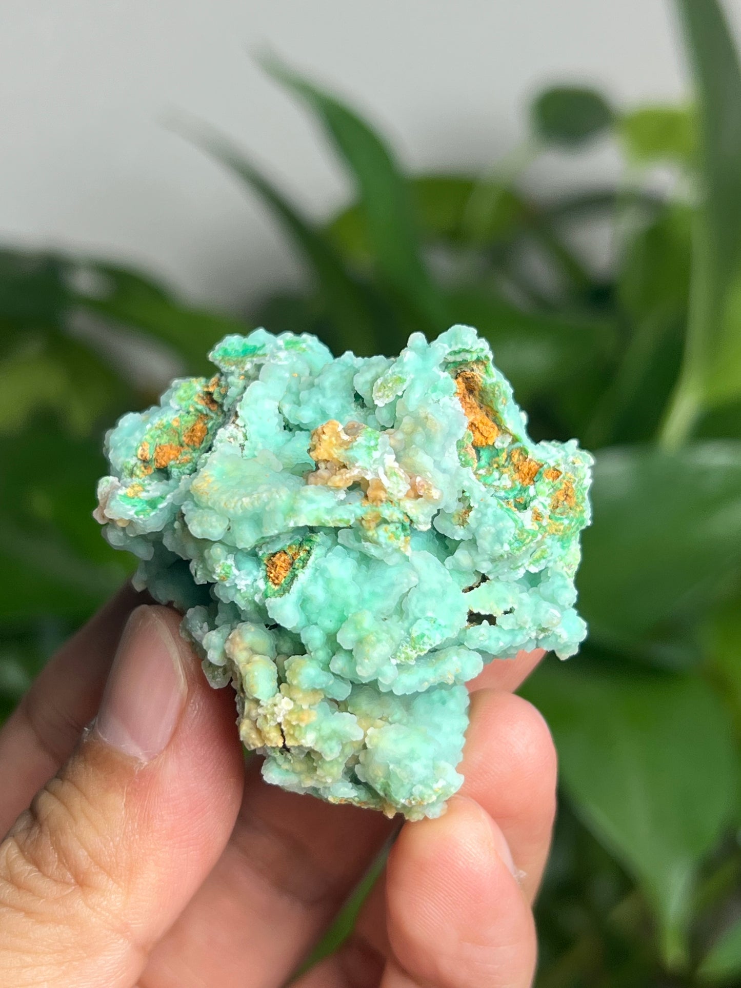 Smithsonite Specimen AB