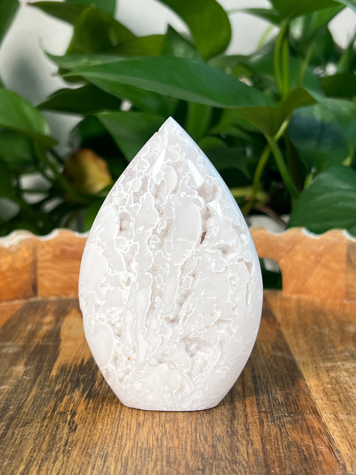 White Plume Agate Flames