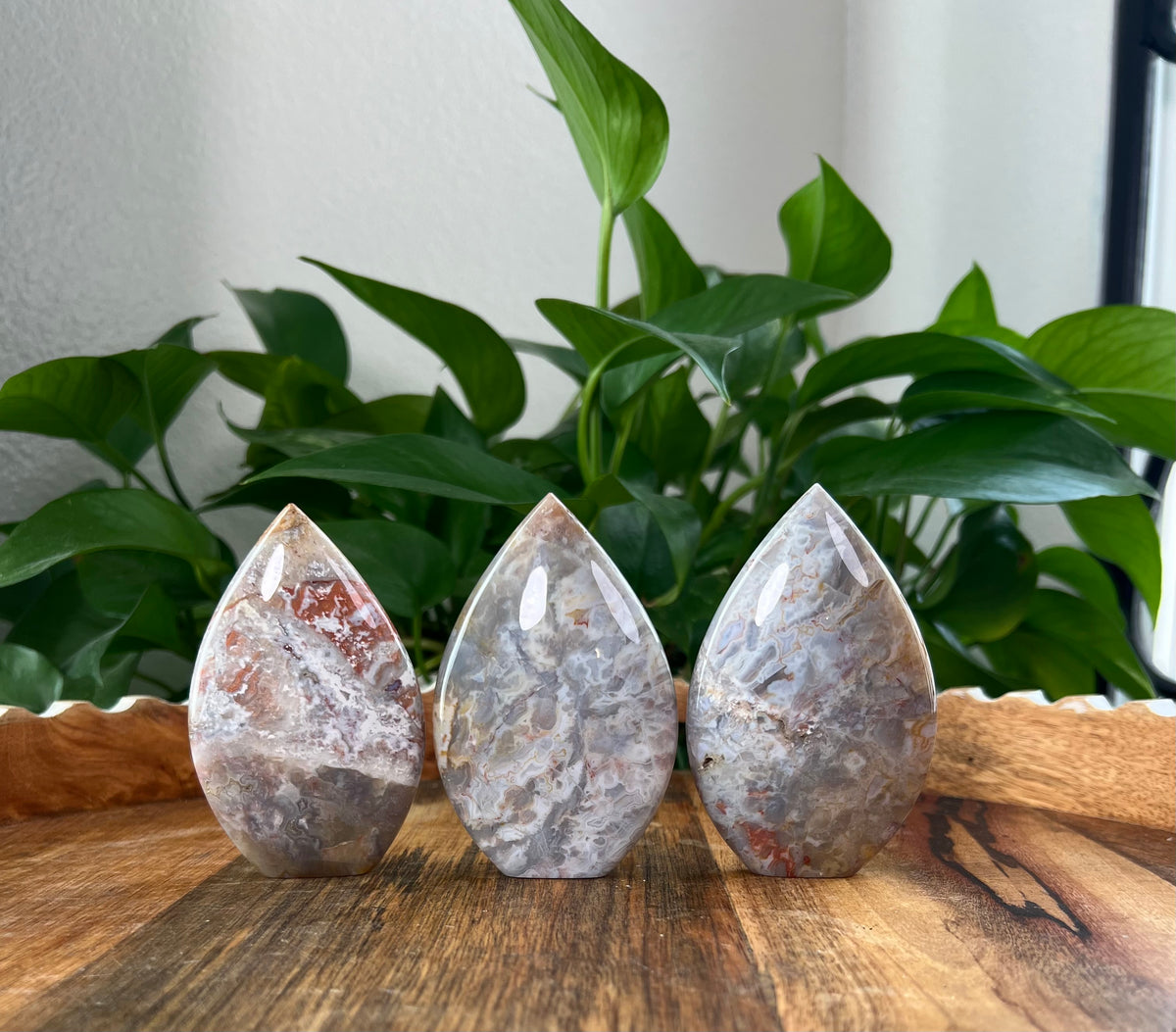 Sumatra Plume Agate Flames