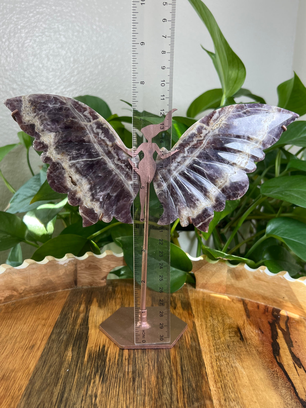 Indonesian Amethyst Fairy Wings: AC