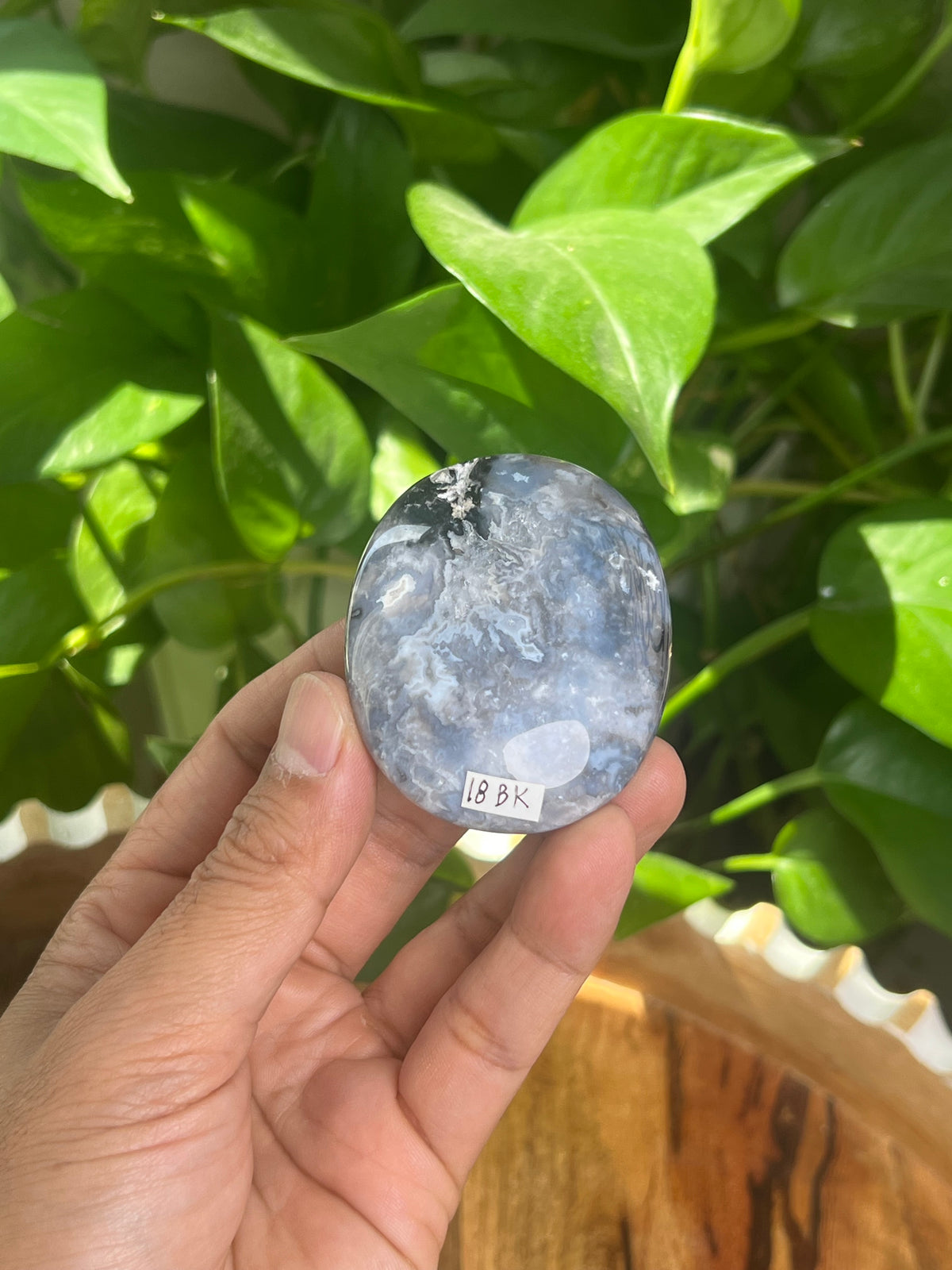 Blue Plume Agate Palmstone: BK