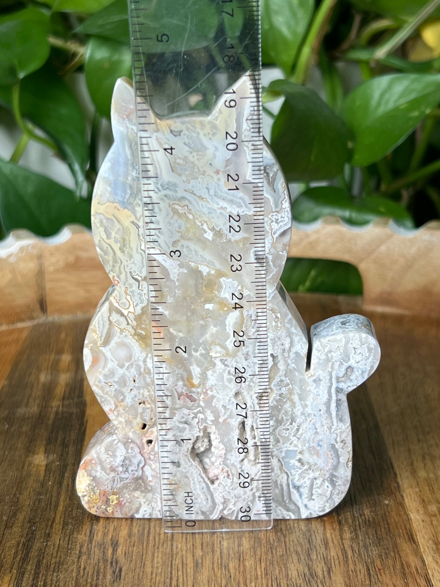 Sumatra Plume Agate Cat