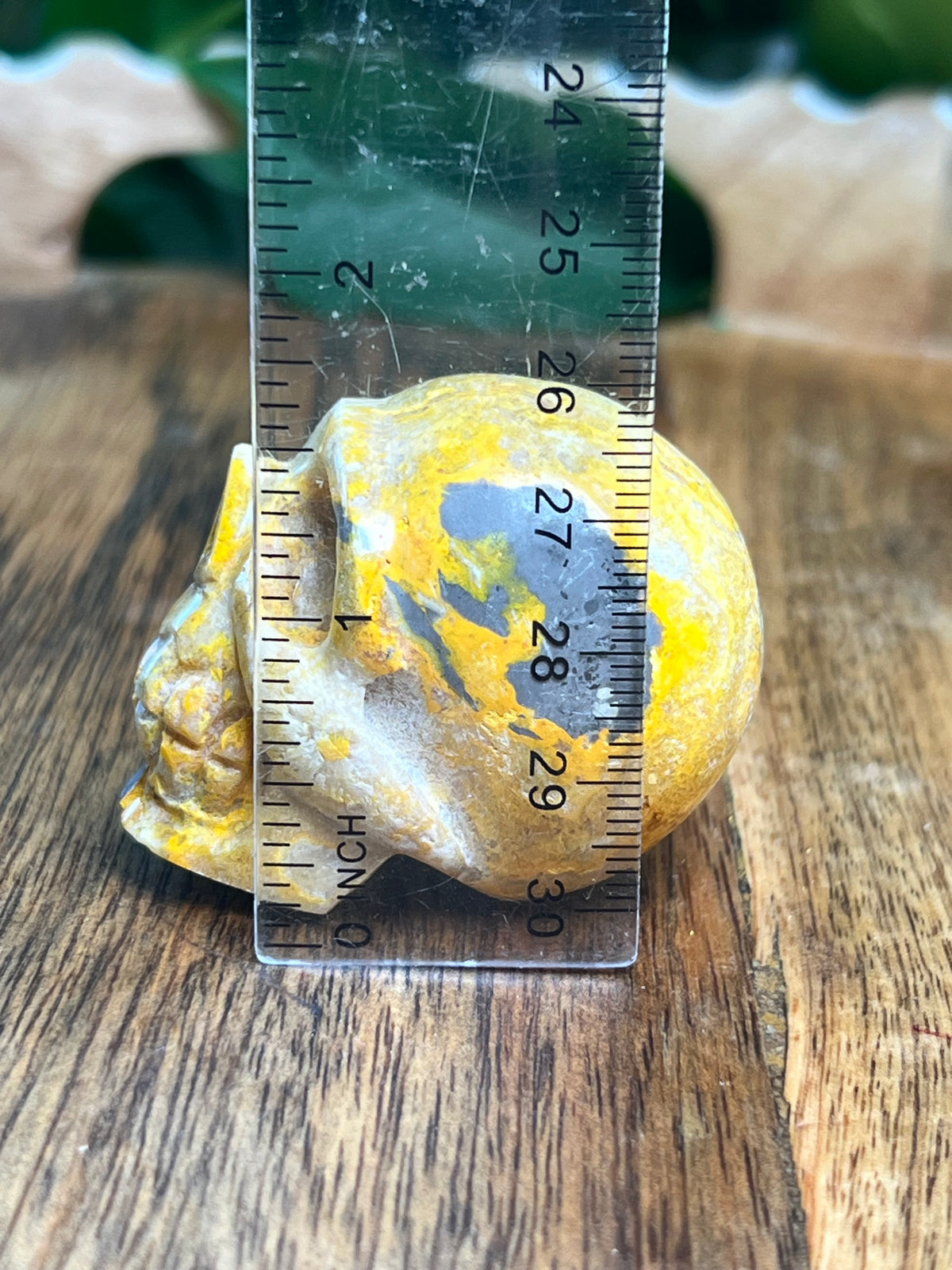 Bumblebee Jasper Mini Skull: C