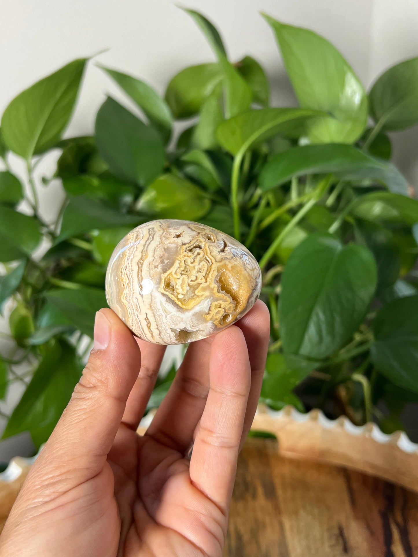 Crazy Lace Agate Egg