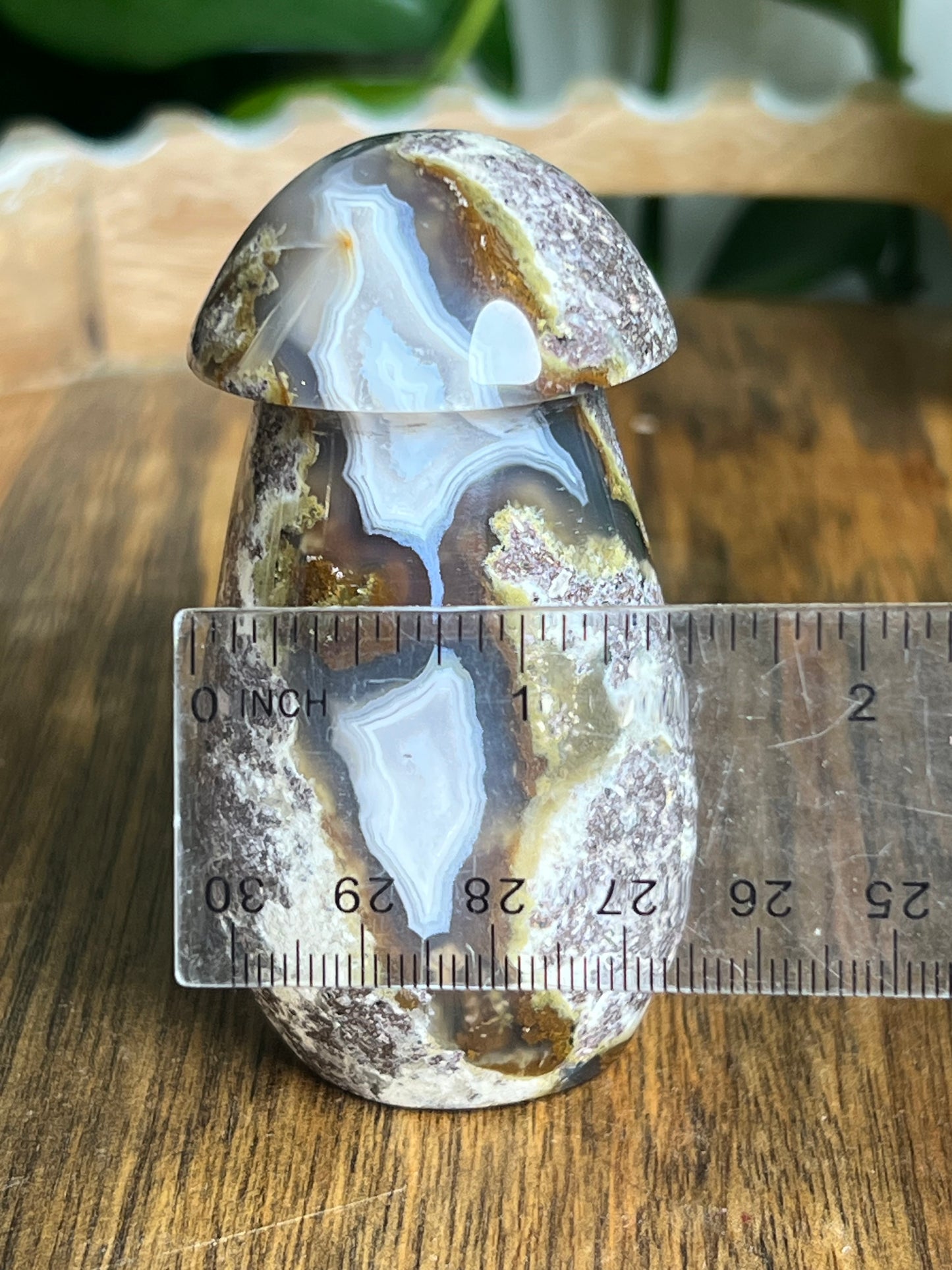 Scenic Moss Agate Mushroom