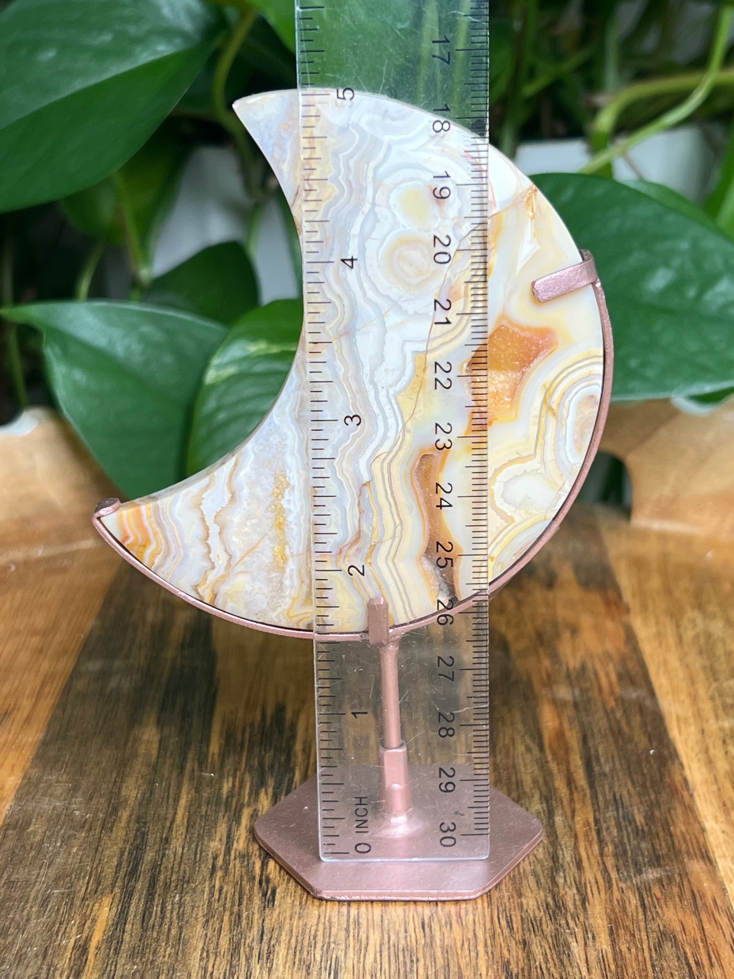 Yellow Crazy Lace Agate Moon: Ni
