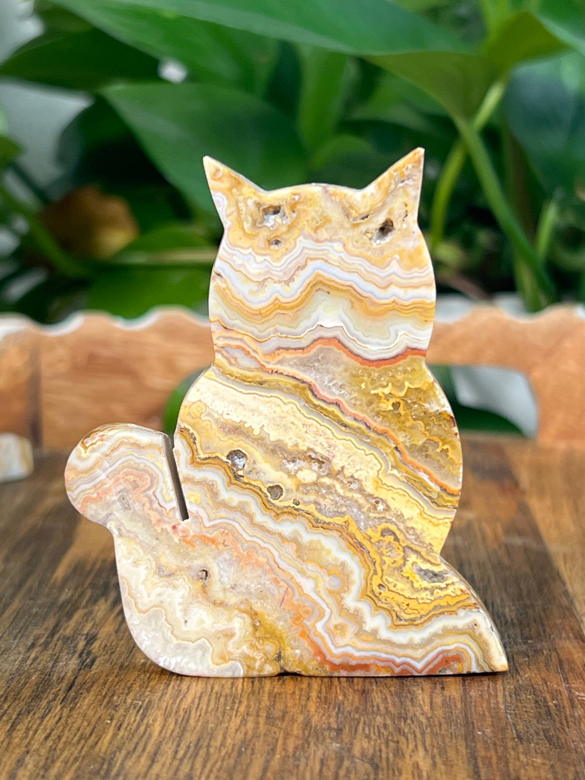 Crazy Lace Agate Small Cats