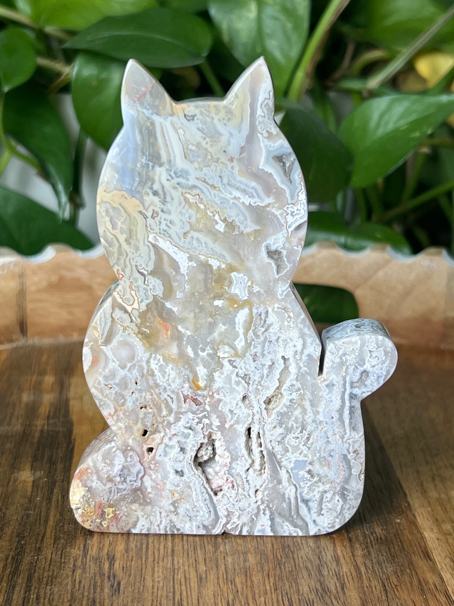 Sumatra Plume Agate Cat