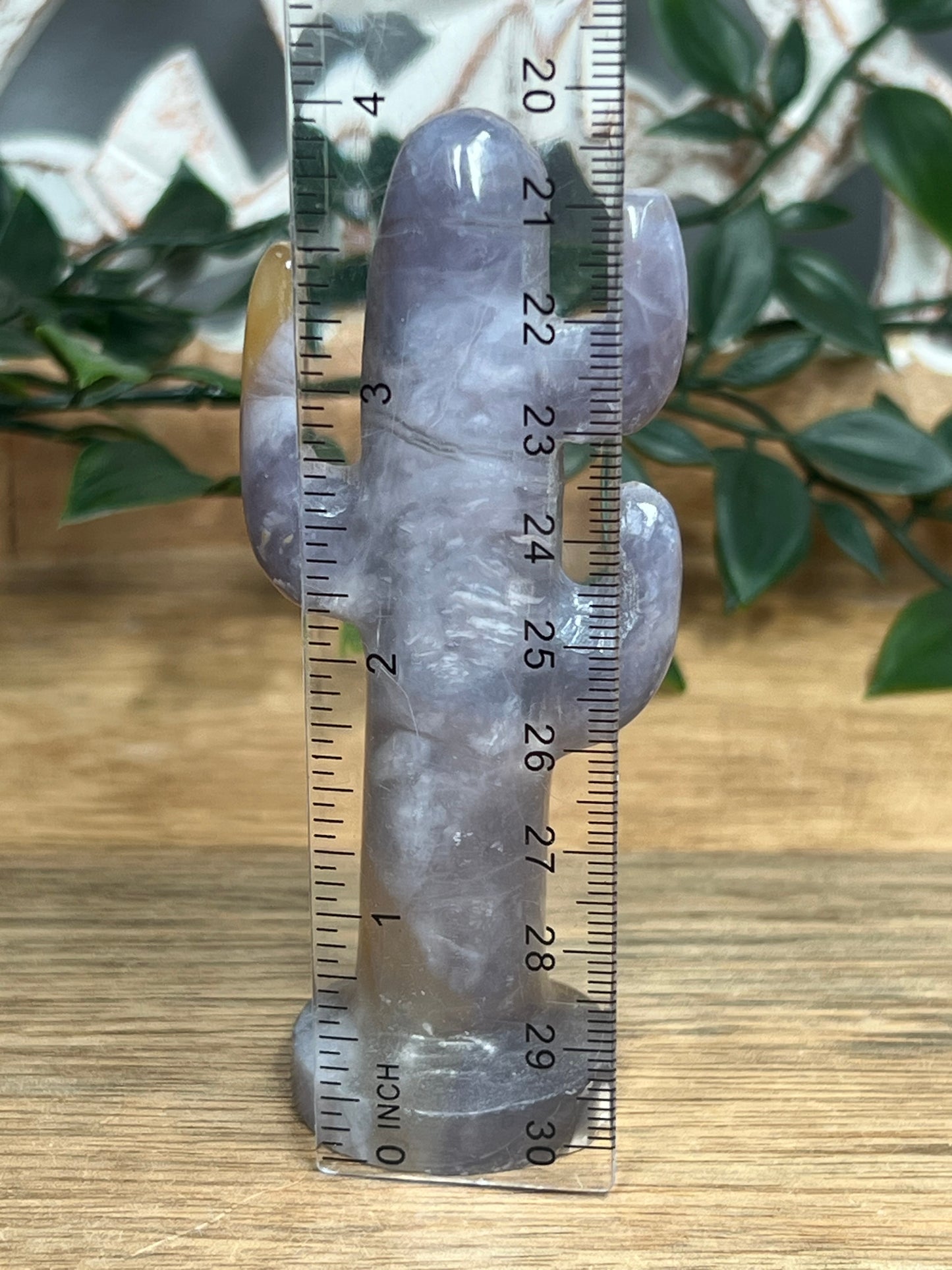 Purple Chalcedony Cactus