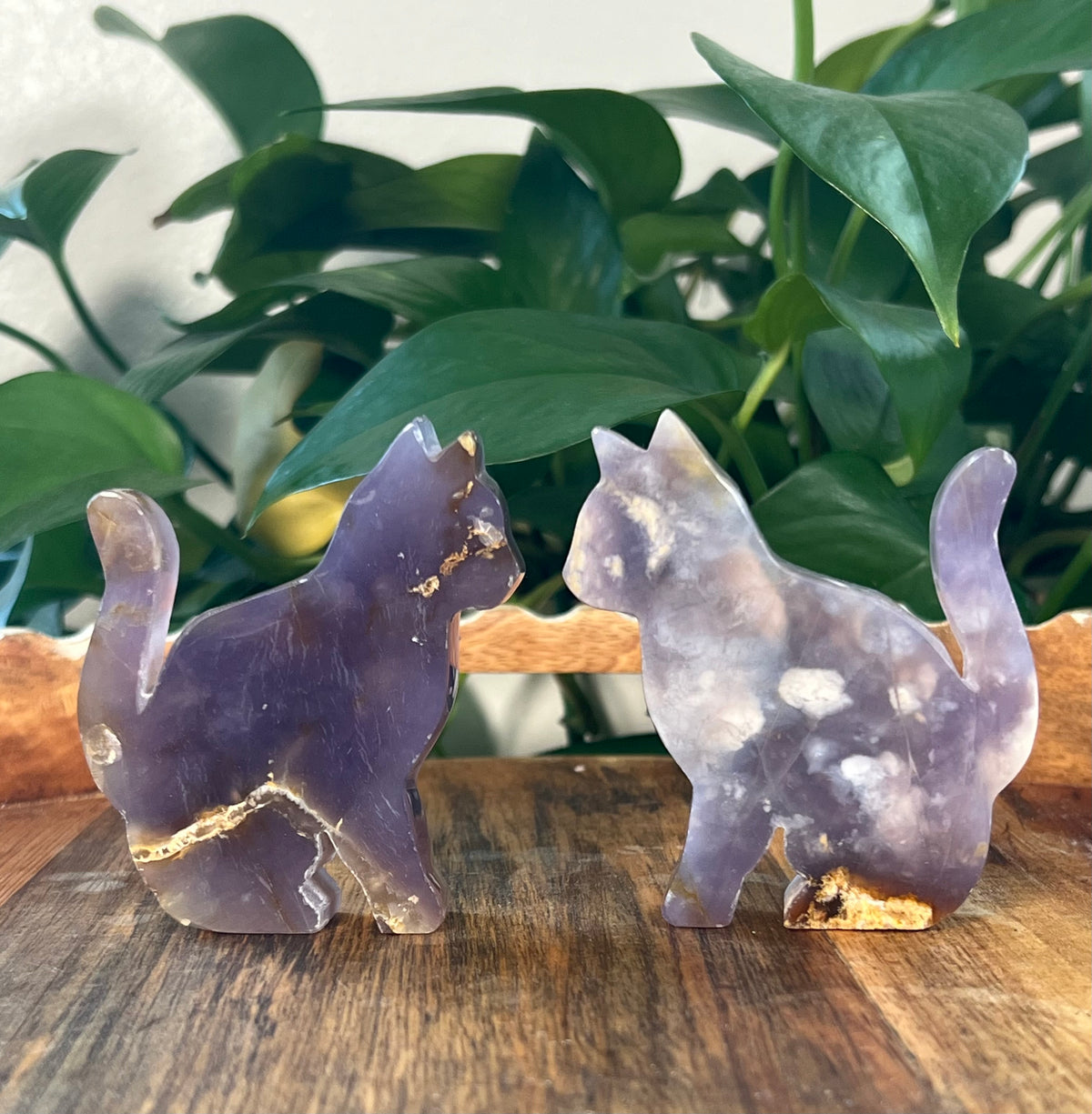 Purple Chalcedony Cats
