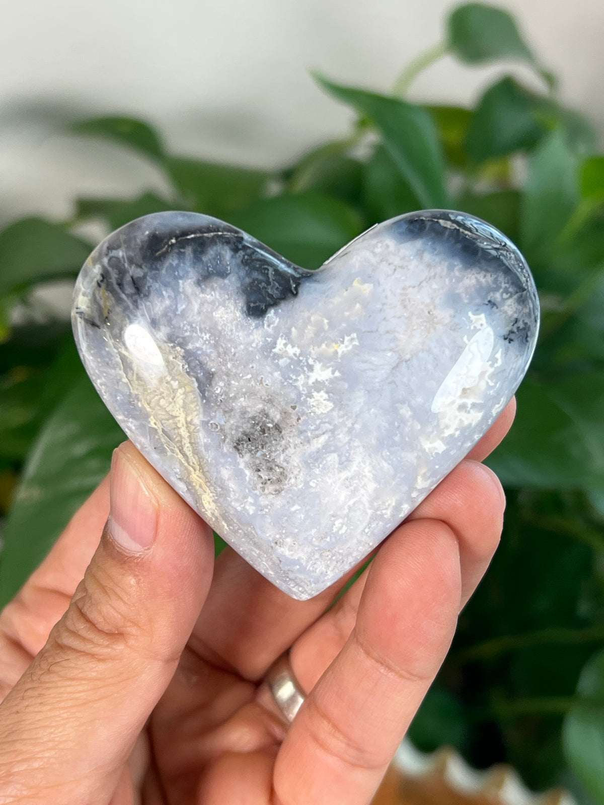 Blue Plume Agate Small Hearts