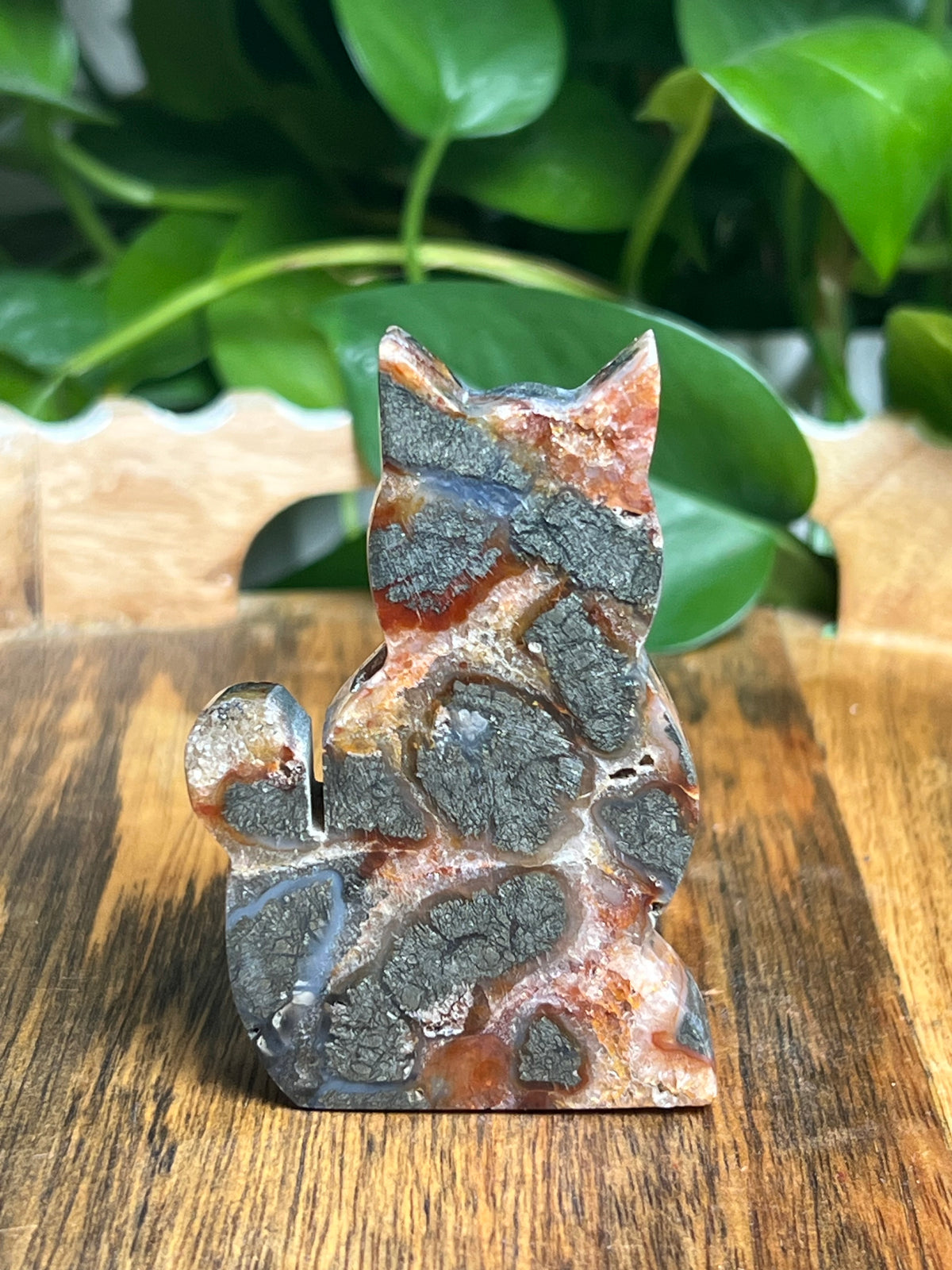 Marcasite Cat: DB