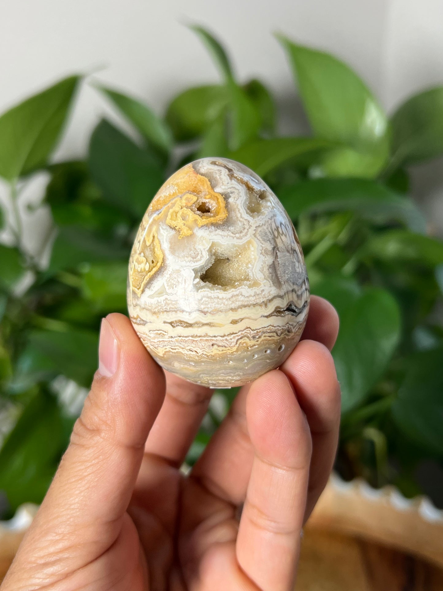 Crazy Lace Agate Egg