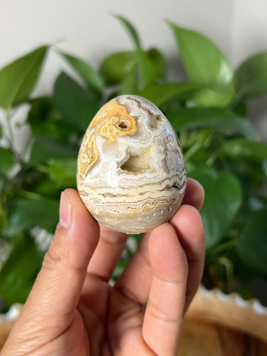 Crazy Lace Agate Egg