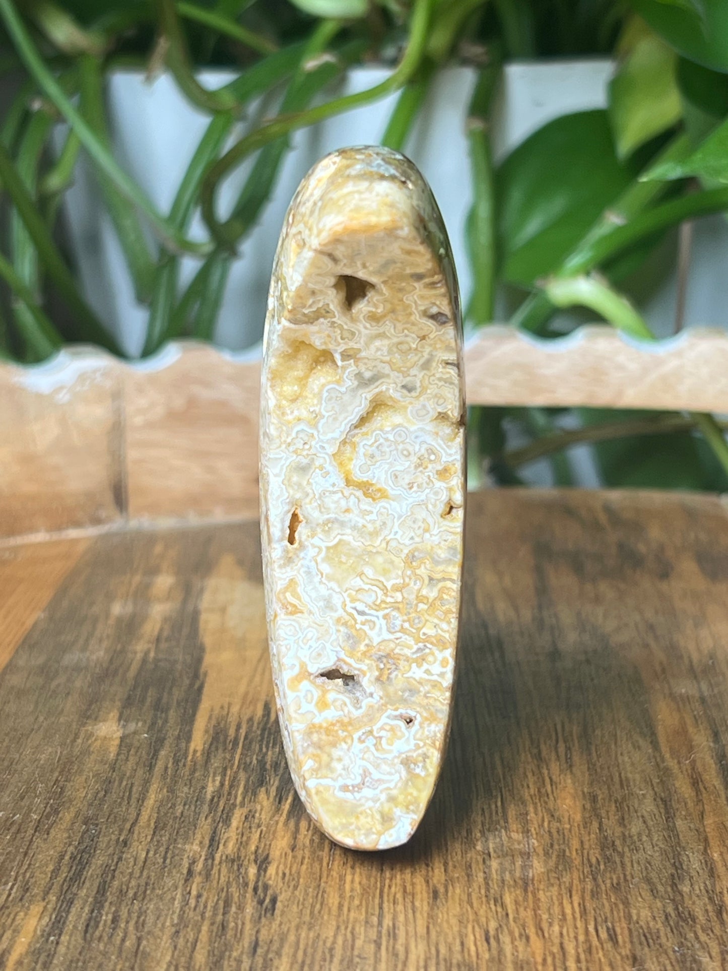 Yellow Crazy Lace Agate Moon